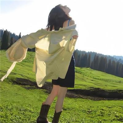 灰鸽子之歌