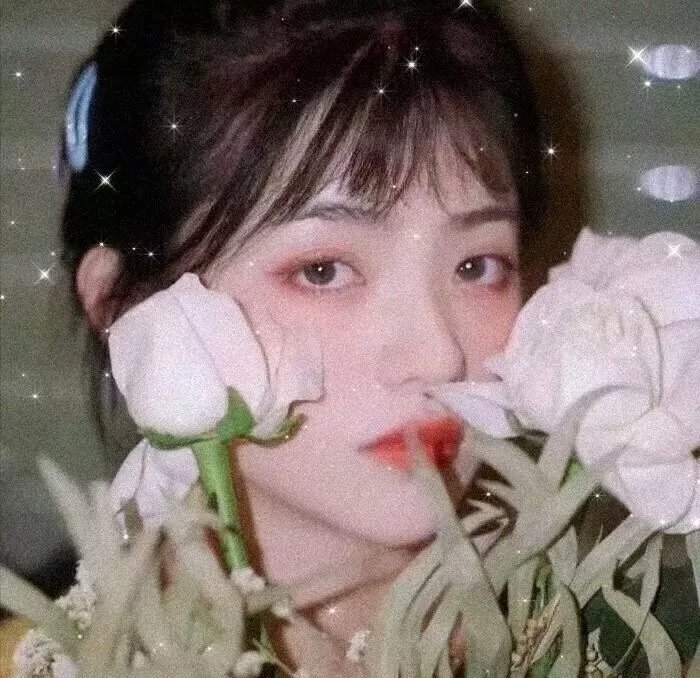 我们的歌第六季