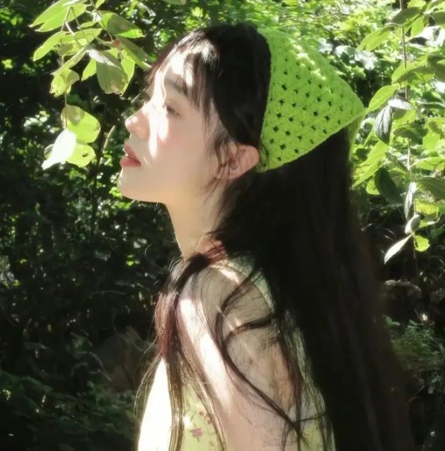查科